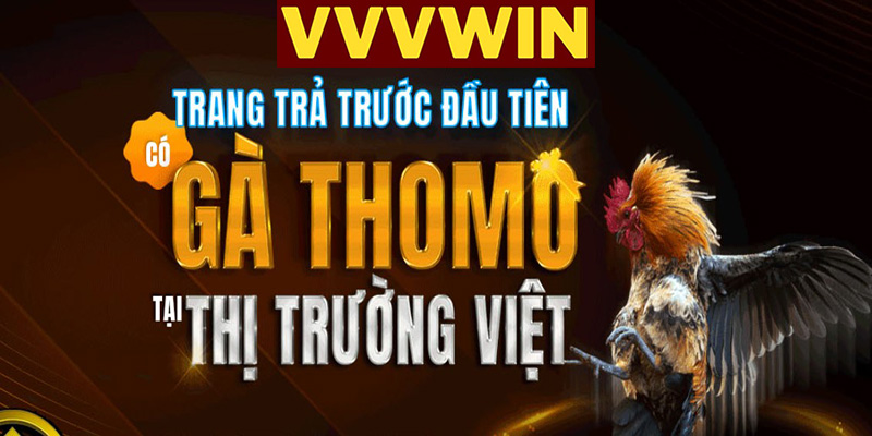 Dịch vụ chăm sóc khách hàng